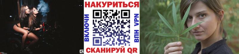 mega ТОР  Краснознаменск  Конопля ГИДРОПОН 